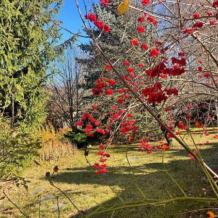 Роксолана Bed & Breakfast Truskavets Bagian luar foto